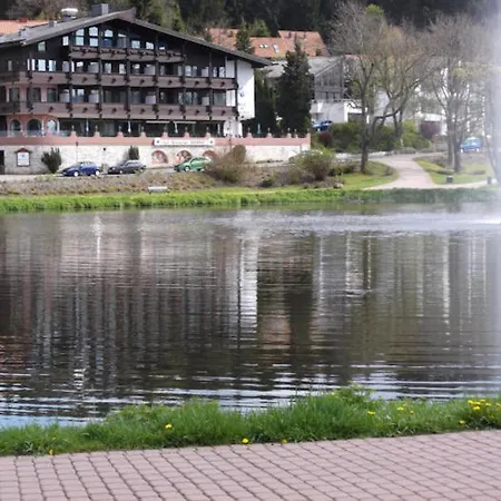 Ferienwohnung Hahnenklee 2 *