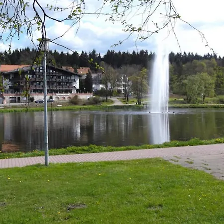 Ferienwohnung Hahnenklee 2